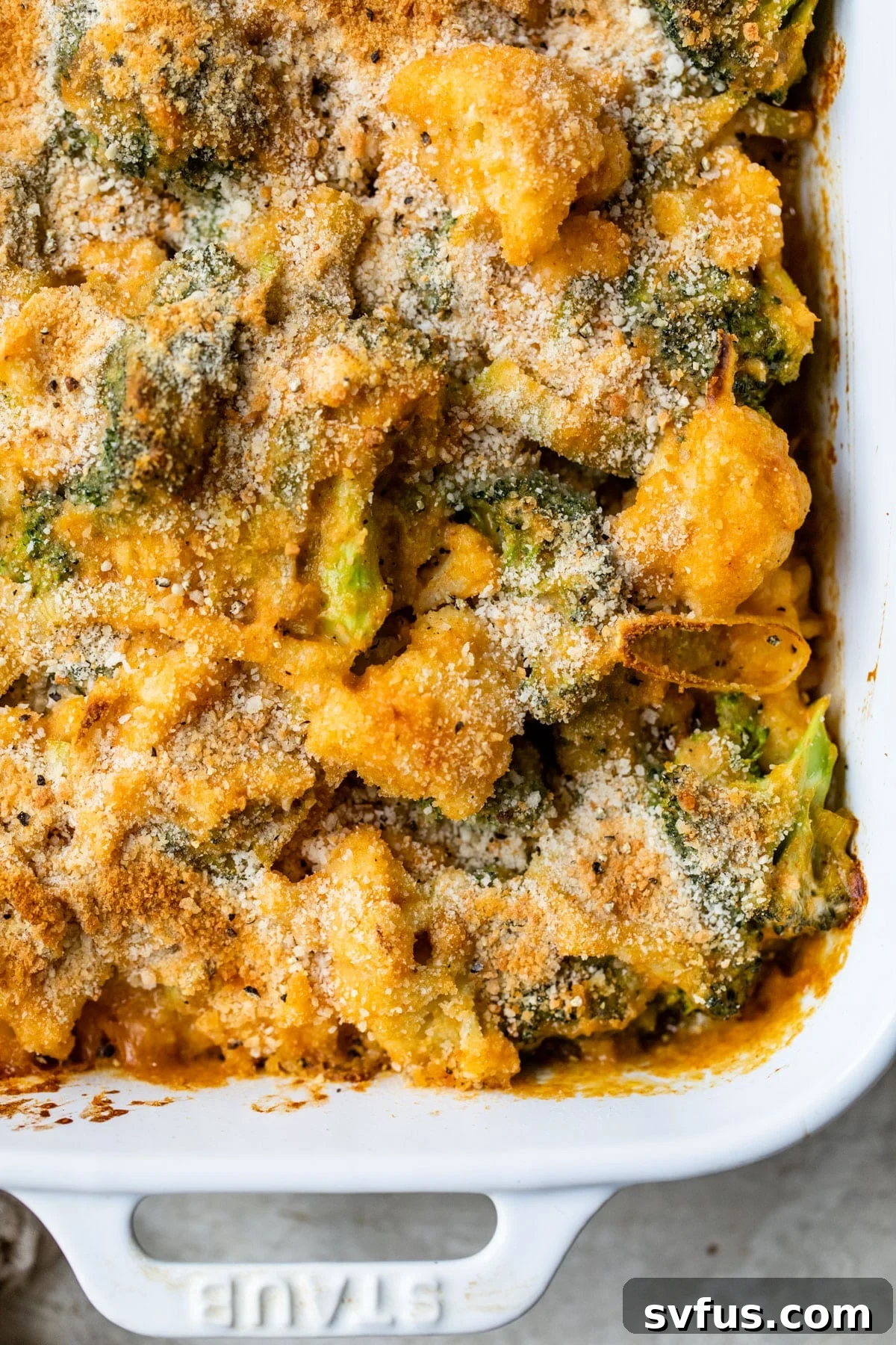 featured 107060