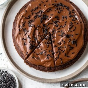 round chocolate cake on a plate topped with chocolate frosting and chocolate sprinkles