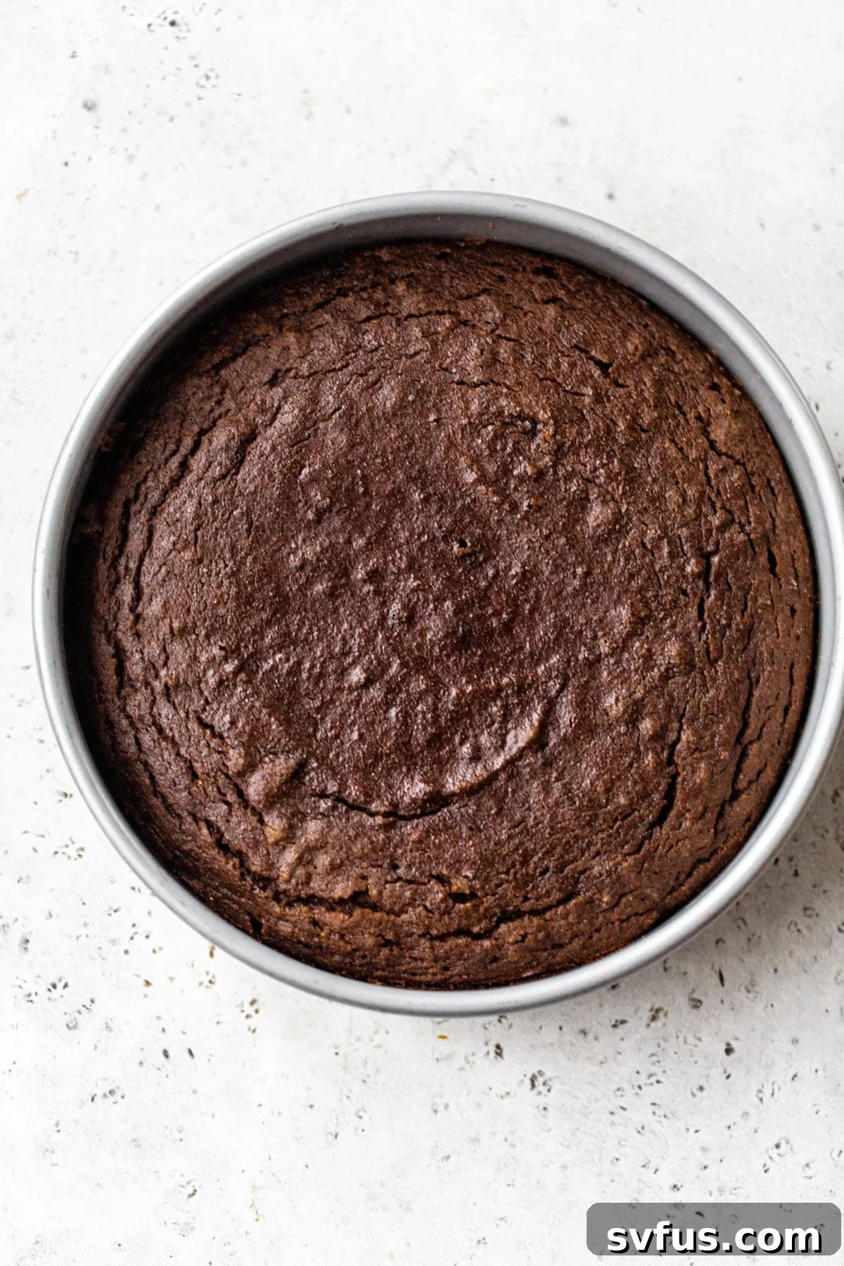 A perfectly baked, golden-brown chocolate cake resting in a round cake pan.