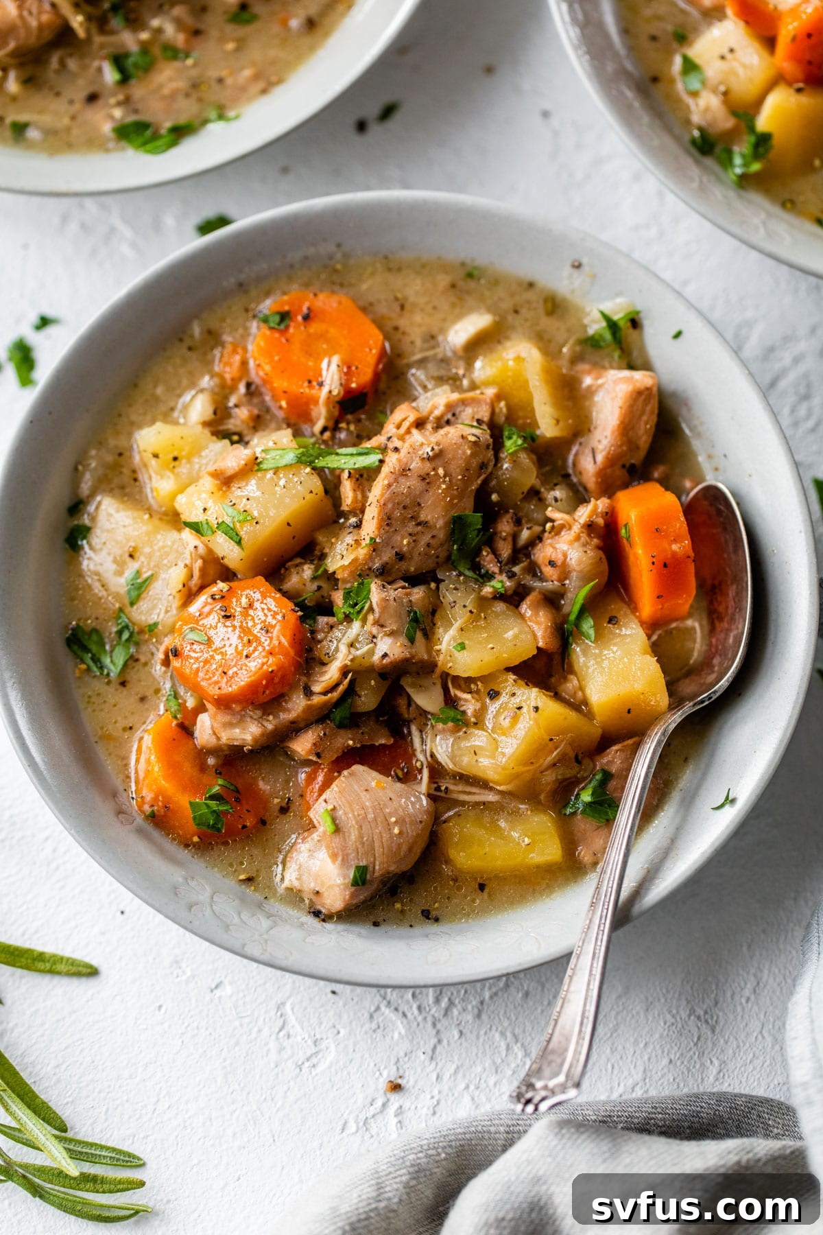 a bowl of stew with potatoes, carrots and diced chicken