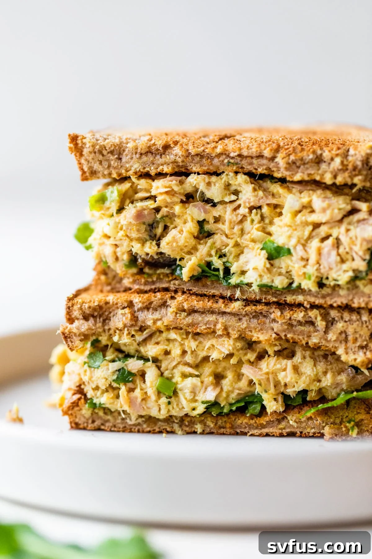 A delicious curried tuna salad sandwich on whole wheat bread with fresh lettuce and cilantro, ready for a quick and healthy lunch.
