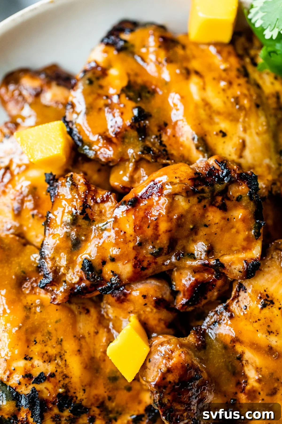 Close-up photo of beautifully marinated chicken thighs, showing a few chunks of mango in the background.