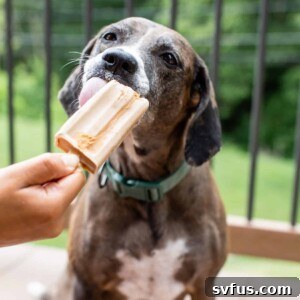 A dog licking a popsicle, featured image for the recipe card.