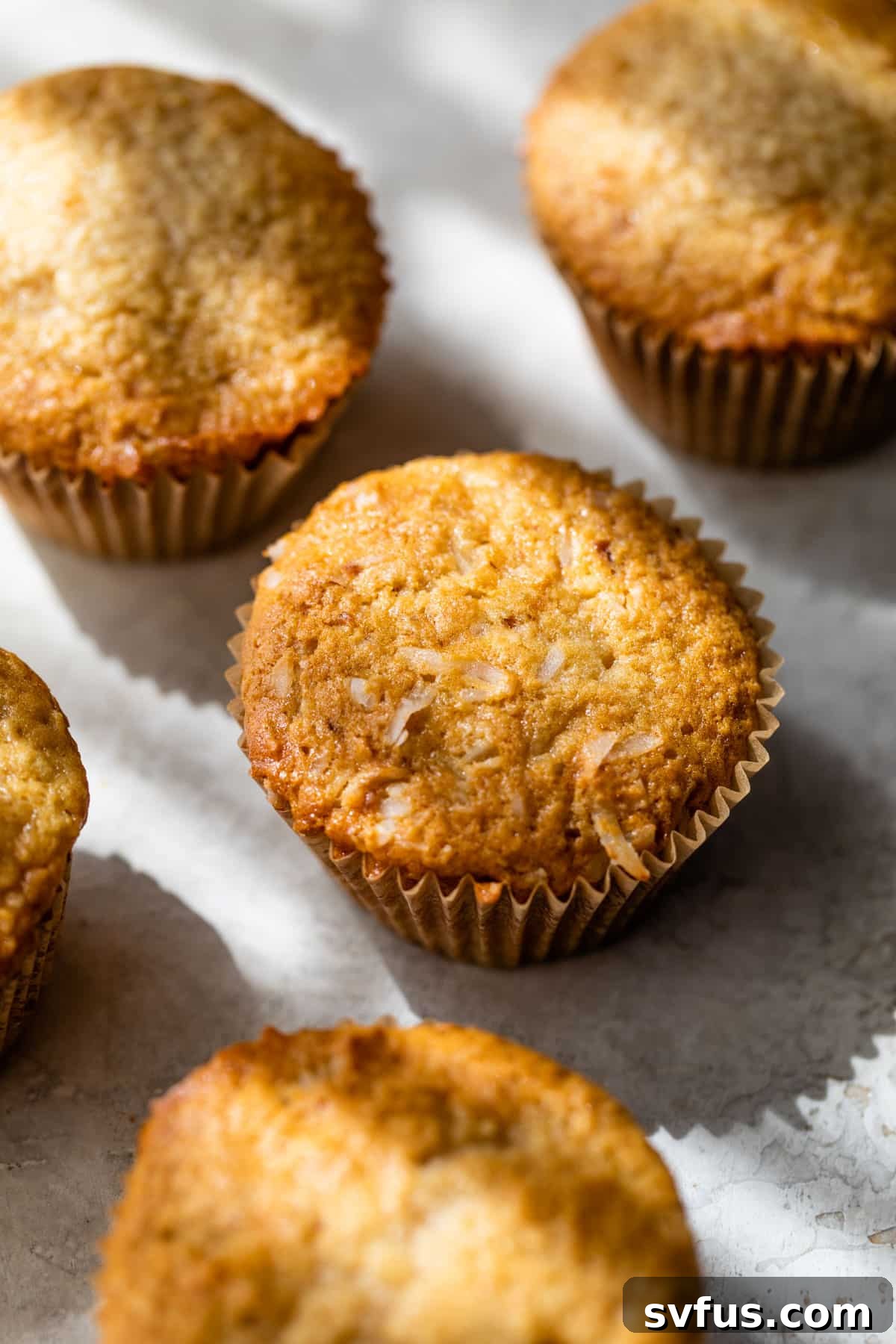 cupcakes without icing on a table
