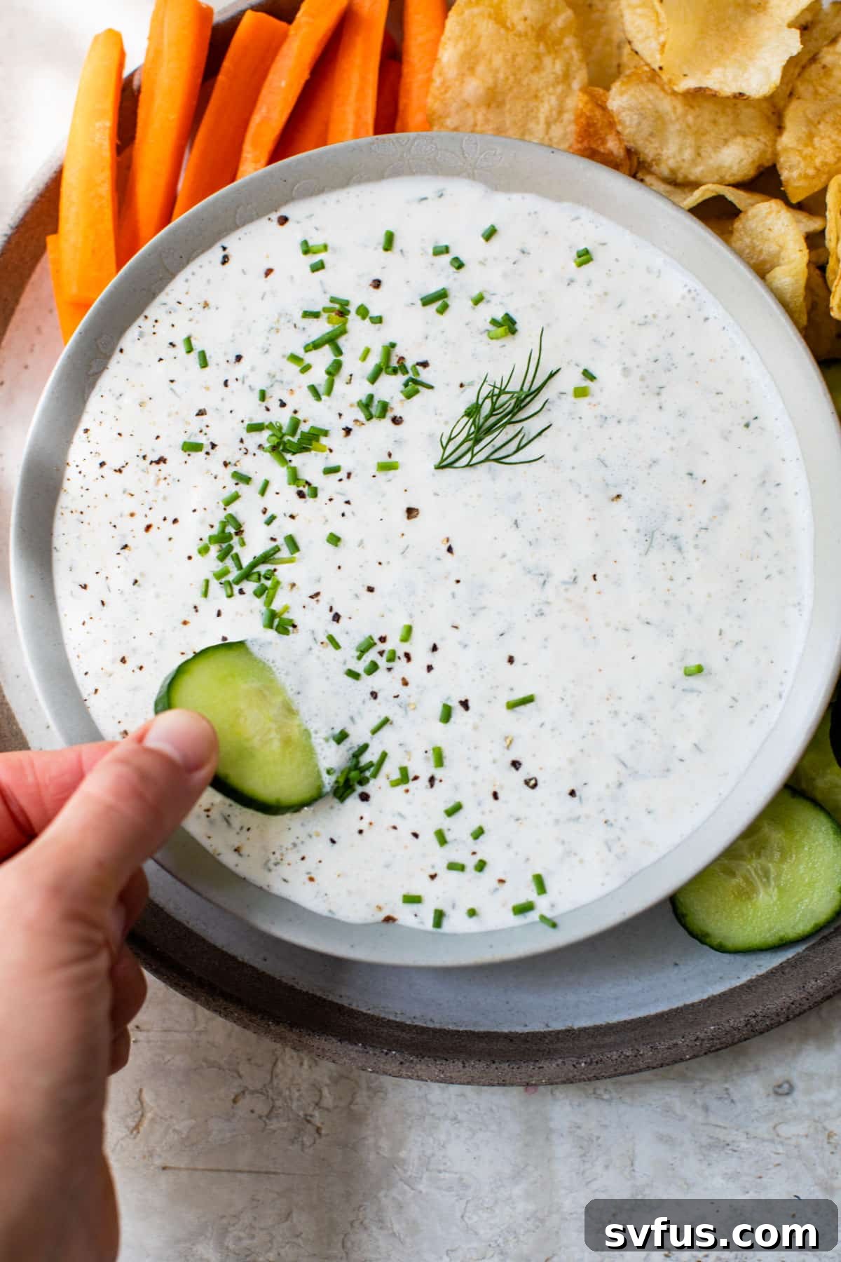 Fresh cucumber slice being dipped into a creamy, white cottage cheese dip, showcasing its inviting texture.