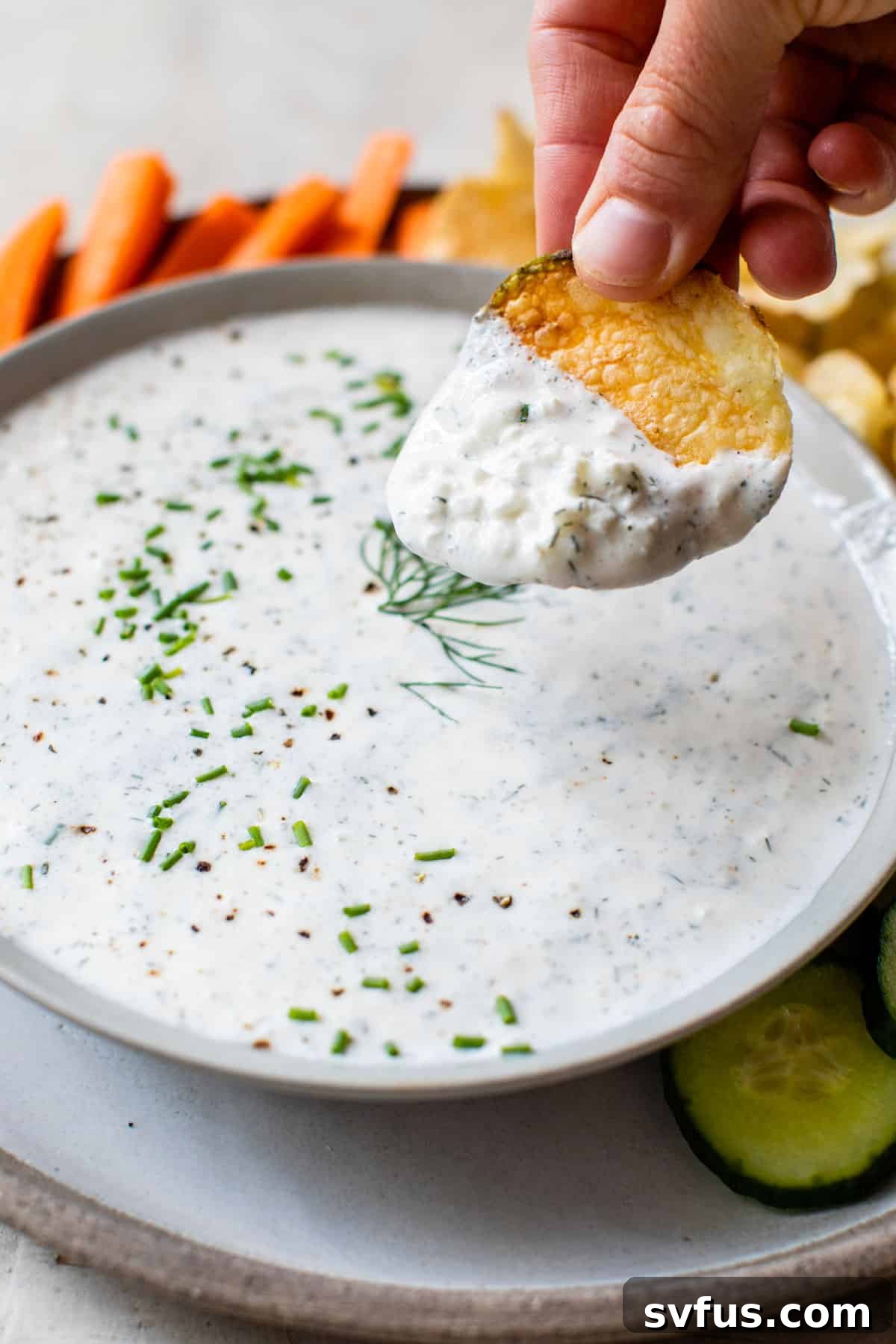 A hand reaching into a bowl of creamy cottage cheese dip with a crispy potato chip, ready for a delicious bite.