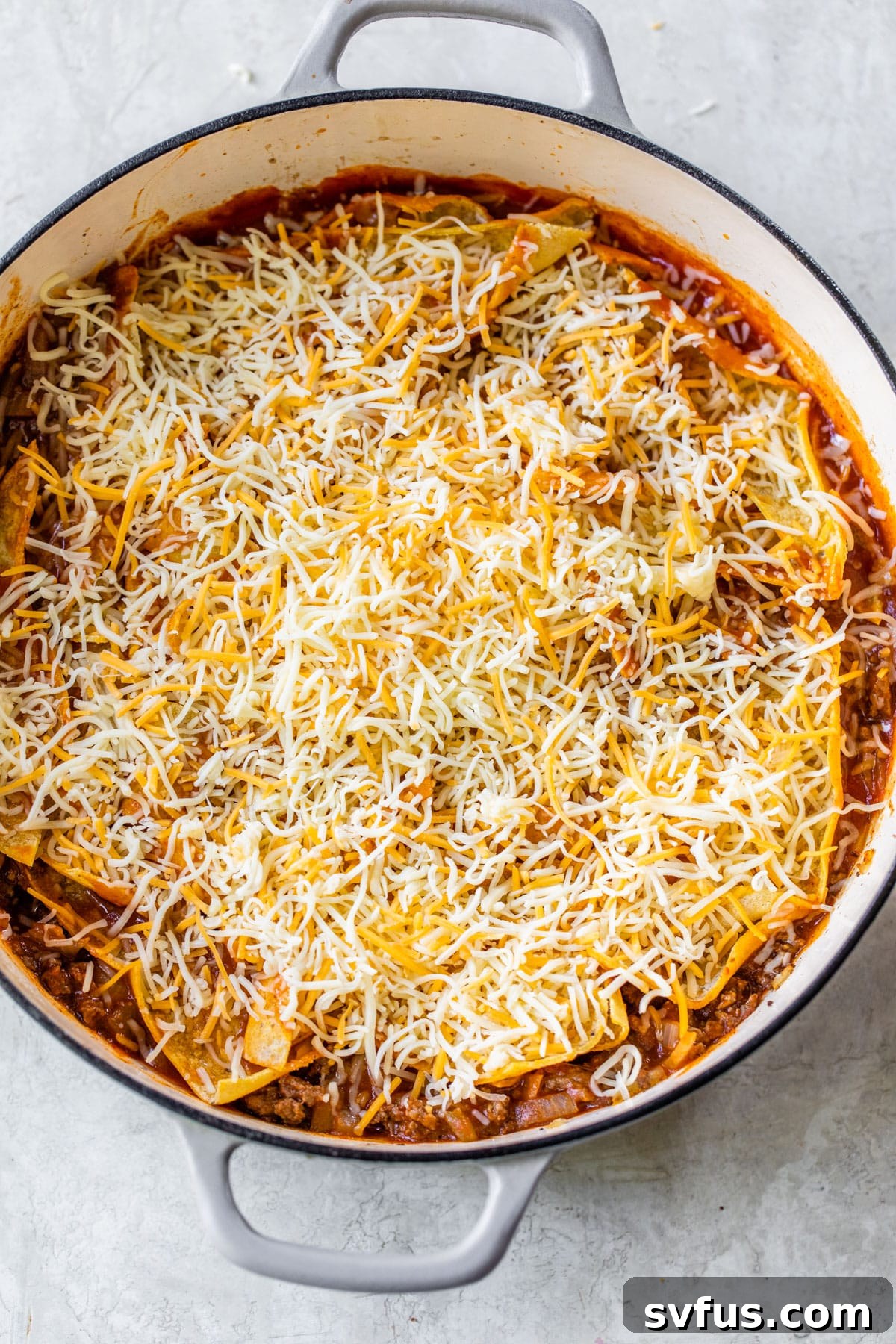 beef topped with cheese, tortilla strips and shredded Mexican cheese