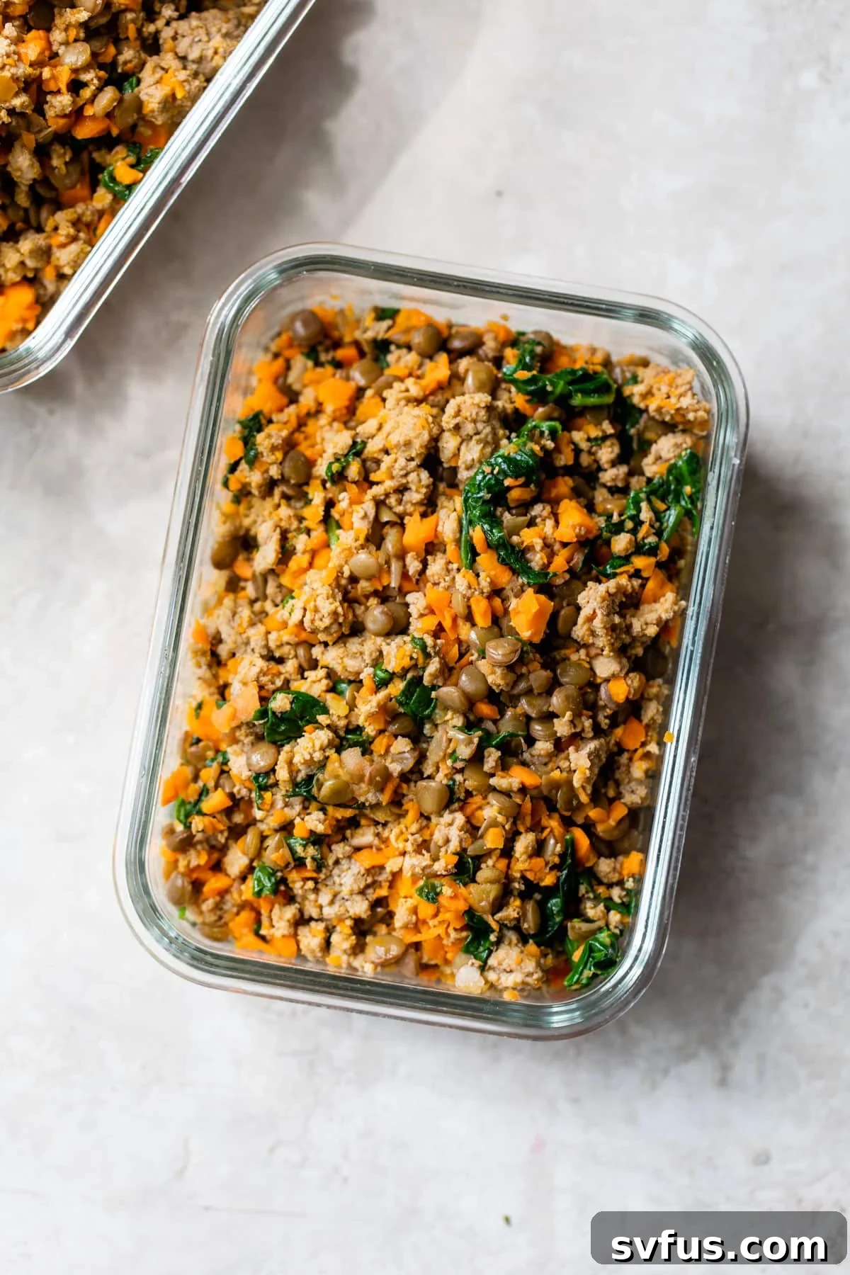 Cooked homemade dog food neatly portioned in a glass meal prep container, ready for storage.