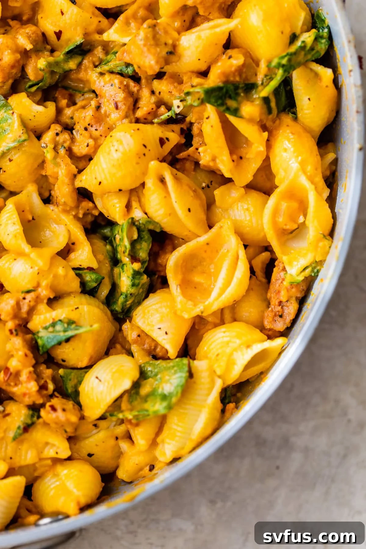 close up photo of cooked pasta shells in a creamy orange-colored sauce