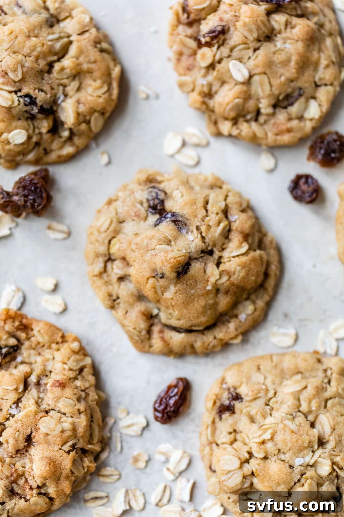 A close-up shot of five freshly baked vegan oatmeal cookies with visible rolled oats and raisins, arranged invitingly on a cooling rack.