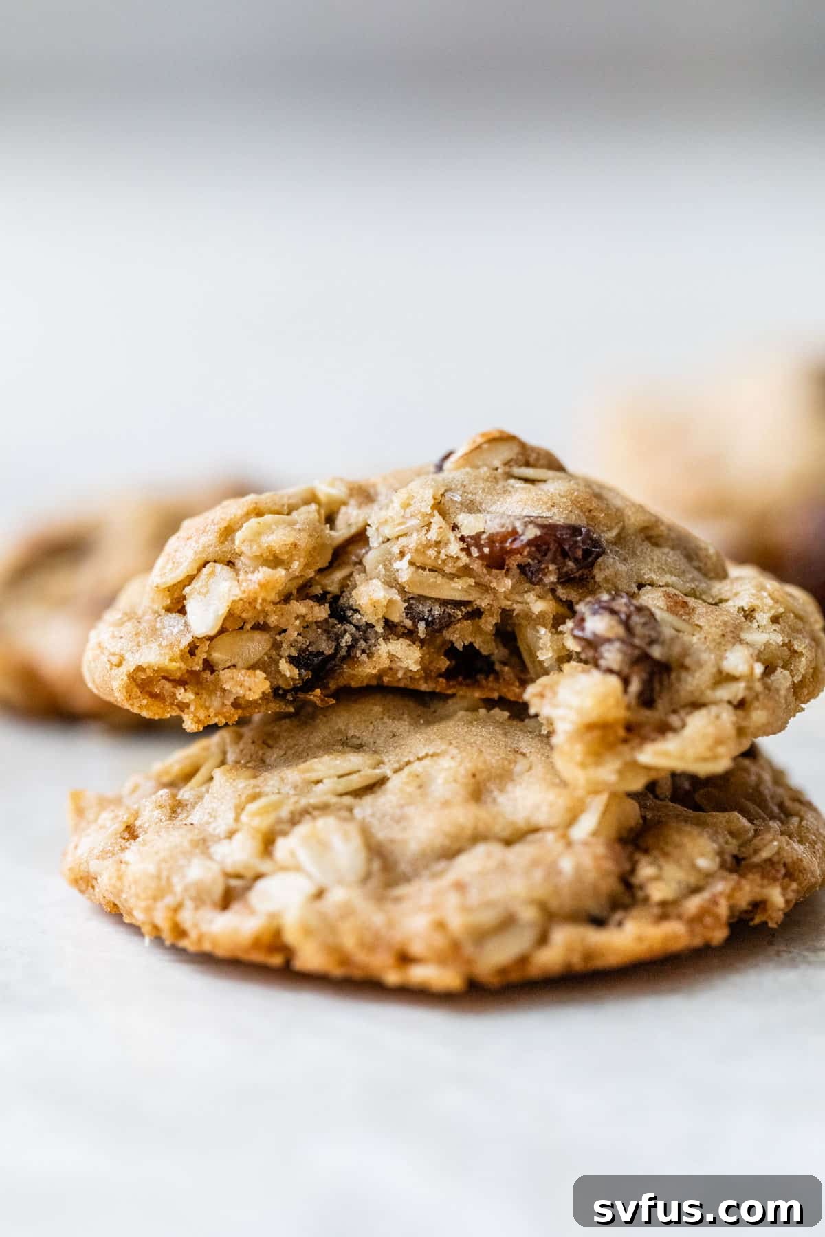 A stack of two vegan oatmeal cookies, with a bite taken out of the top cookie, revealing its chewy interior filled with oats and raisins.