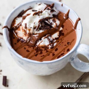 mug of hot chocolate with whipped cream and melted chocolate