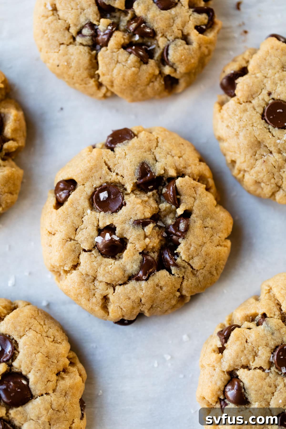 Freshly baked vegan peanut butter chocolate chip cookies arranged neatly on parchment paper, showing off their golden edges and melty chocolate pools.