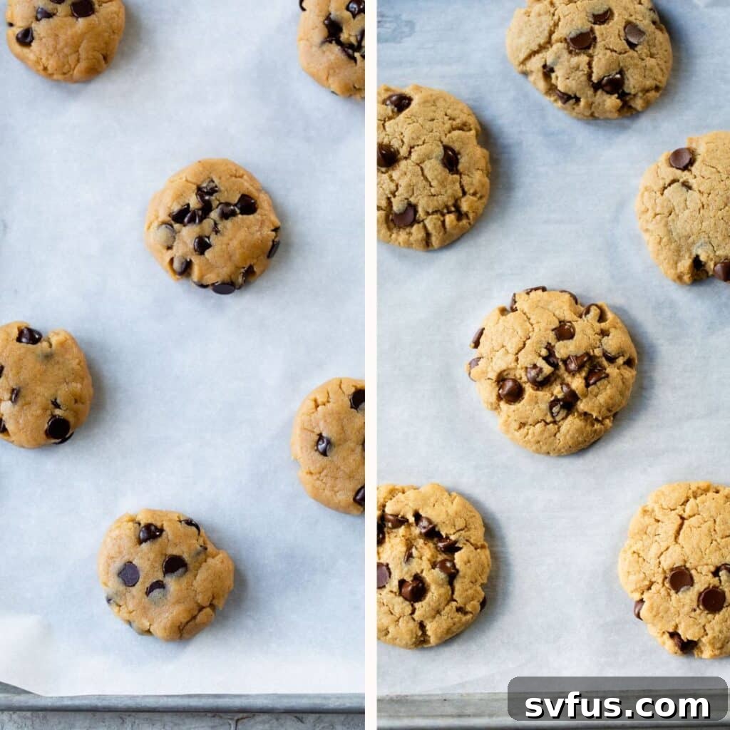 A baking sheet divided in two: on the left, raw vegan peanut butter chocolate chip cookie dough balls, and on the right, golden baked cookies cooling.