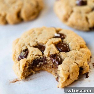 A delicious vegan peanut butter chocolate chip cookie with a bite taken out, showcasing the melted chocolate.