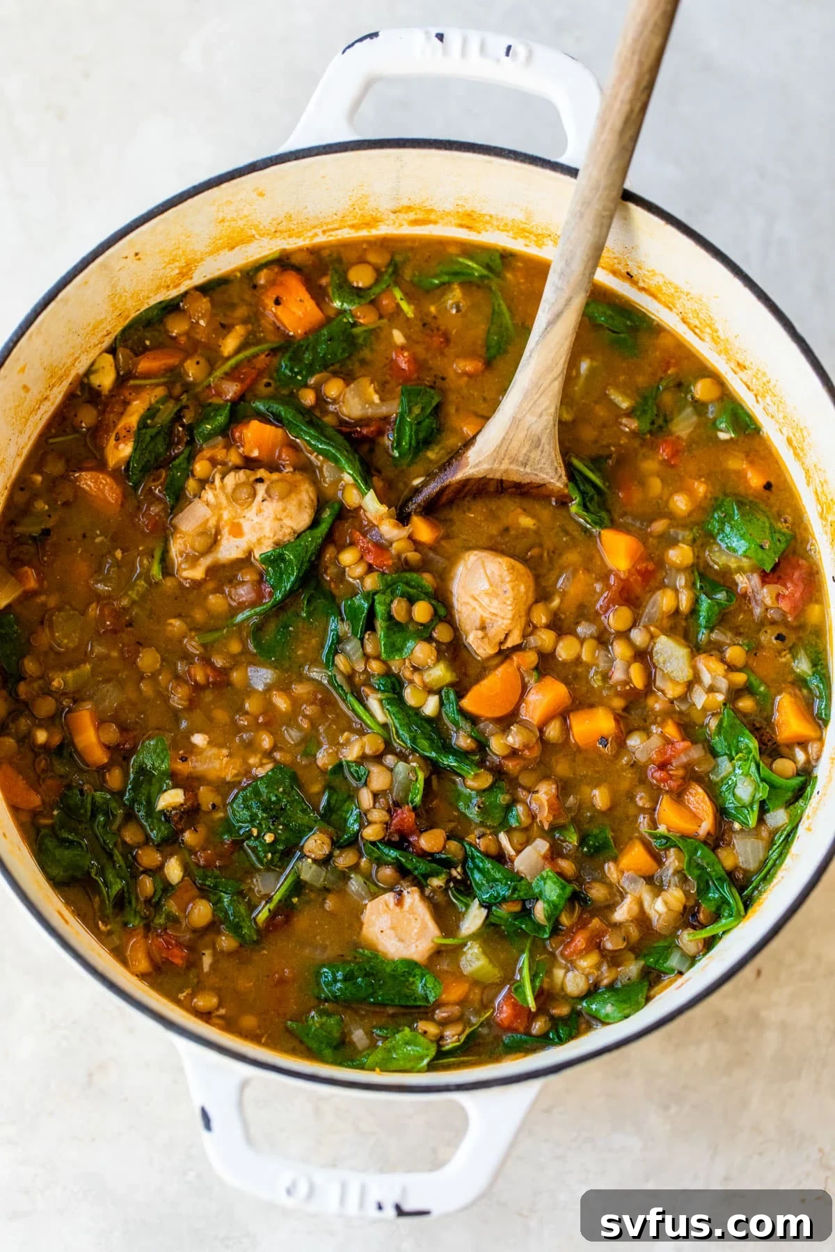 dutch oven of soup with chicken, green lentils and spinach