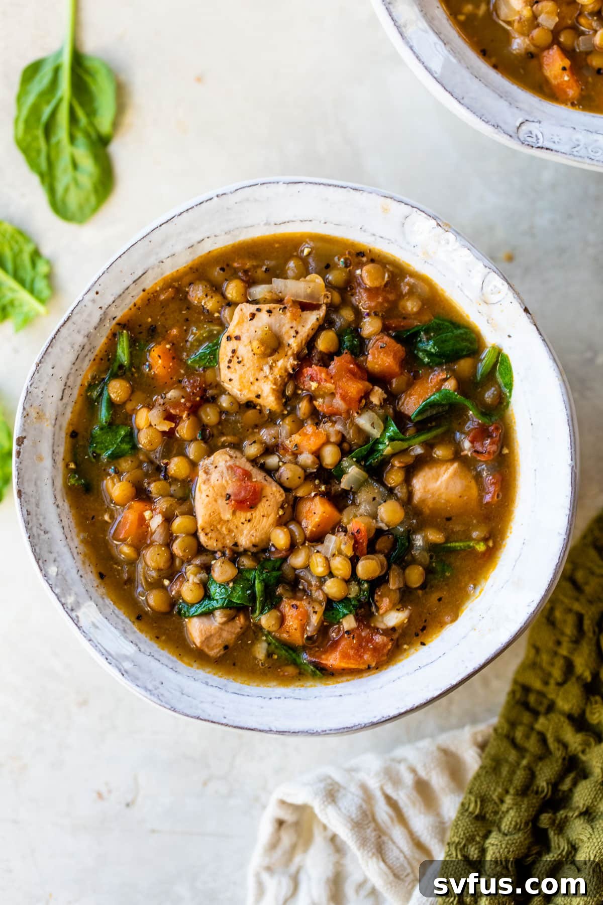 a bowl of soup with diced chicken and cooked green lentils