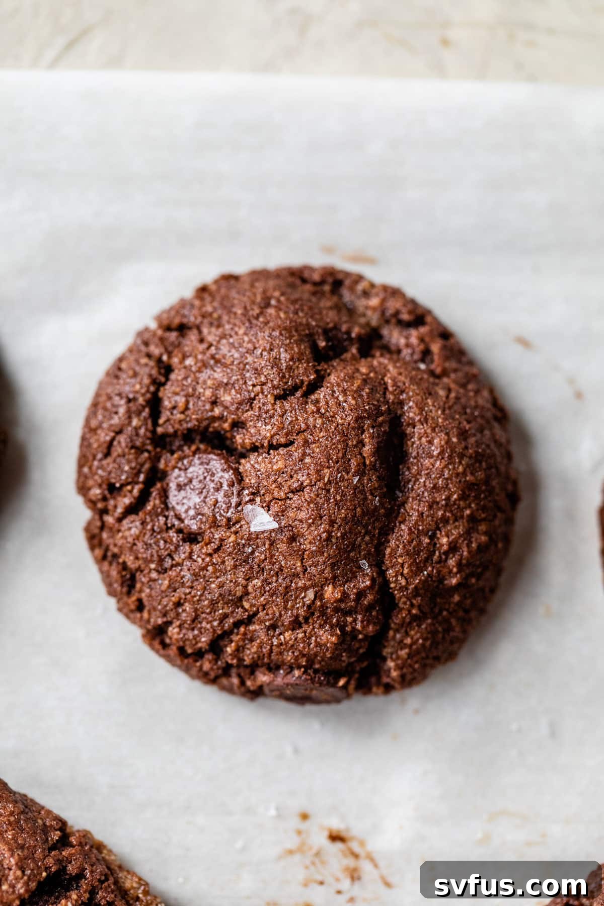 Freshly baked almond flour chocolate cookies studded with chocolate chips, resting on parchment paper on a baking sheet.