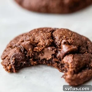 A delicious chocolate cookie made with almond flour, with a bite taken out.