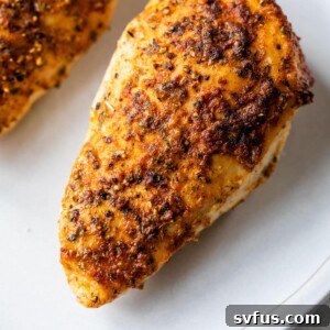 cooked seasoned chicken breast on a plate