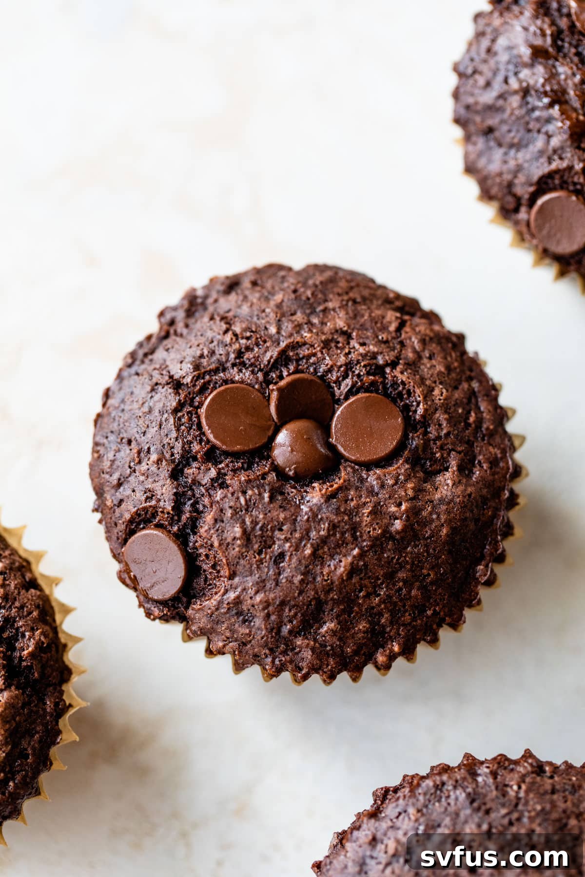 A close-up of a single vegan chocolate muffin, topped with an extra sprinkle of dairy-free chocolate chips, showcasing its appealing texture.