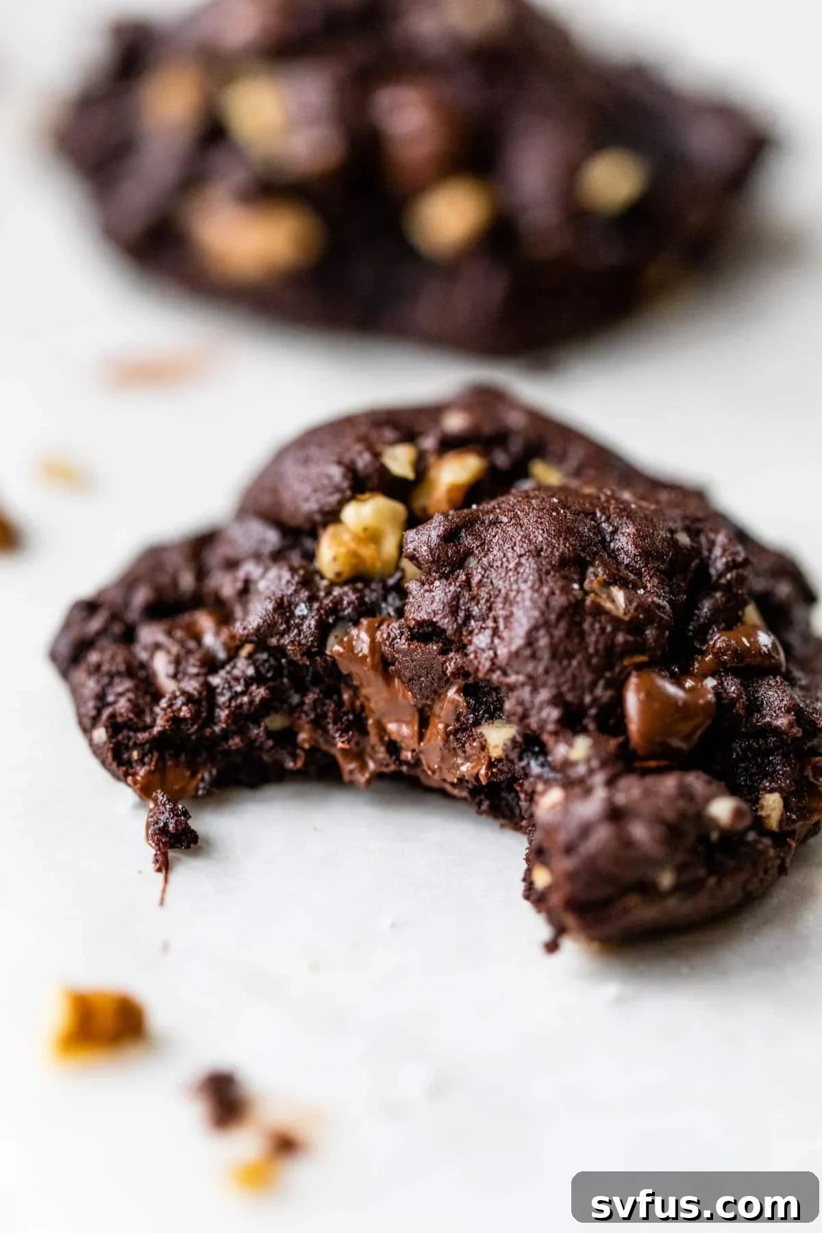 A perfectly baked double chocolate walnut cookie with a bite taken out, revealing its fudgy interior and visible chocolate chips and walnuts.