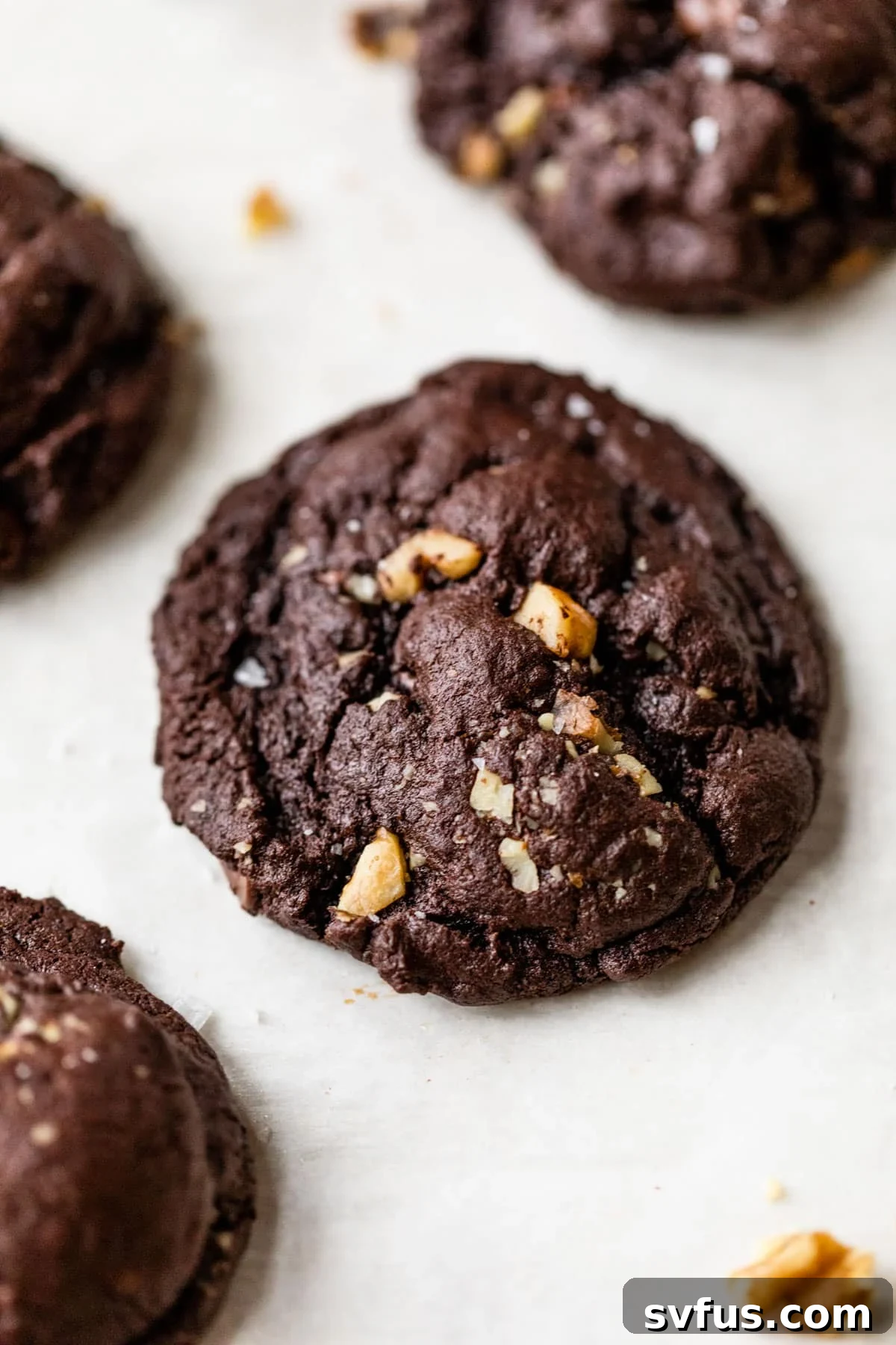 A charming stack of freshly baked Double Chocolate Walnut Cookies, prominently displaying their rich, dark brown color, glistening chocolate chips, and clearly visible pieces of crunchy walnuts.