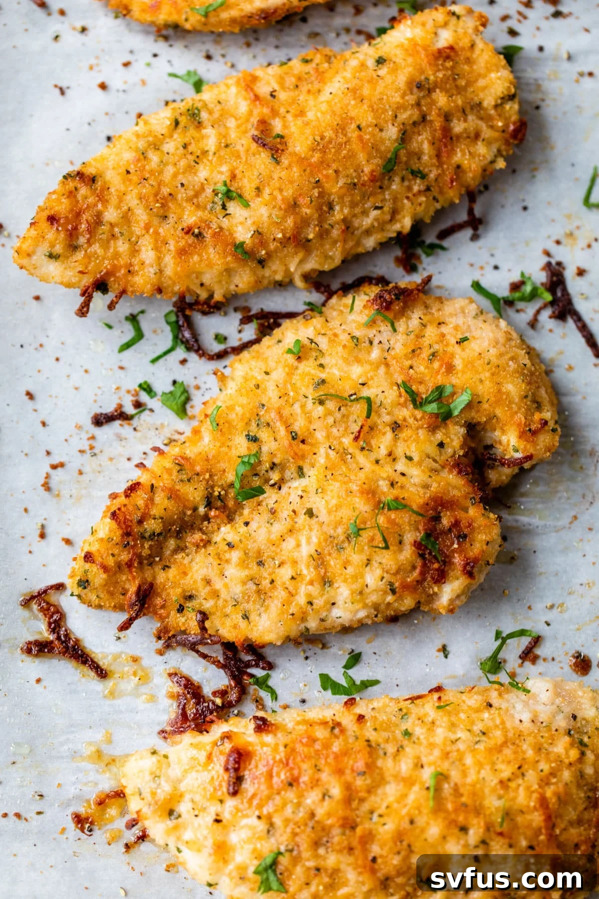 Golden-brown baked parmesan chicken breasts fresh out of the oven, still on the baking sheet, looking perfectly crispy and ready to serve.