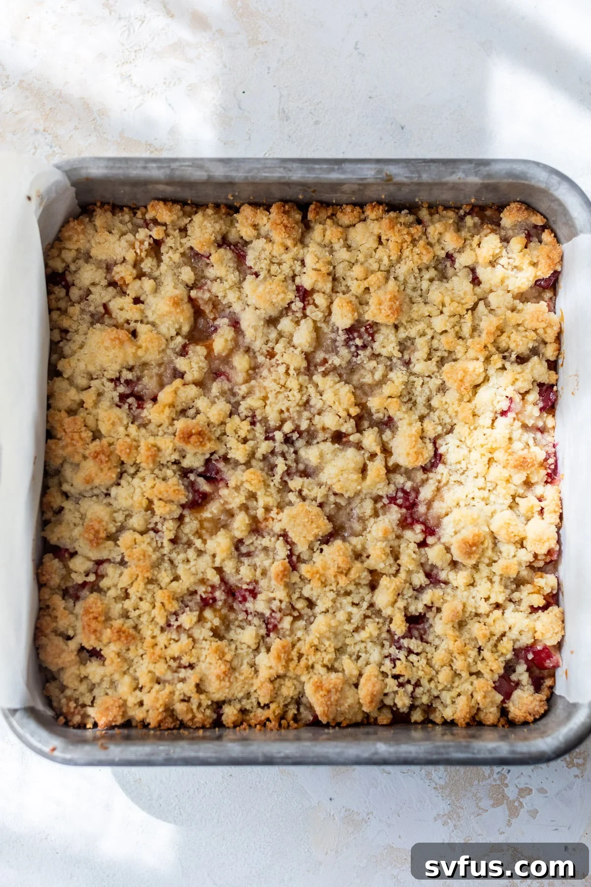 Freshly baked plum crumb bars in a square baking dish, cooled and ready for slicing.