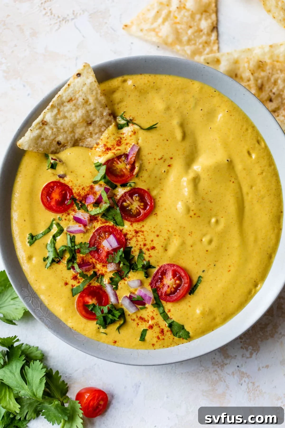vegan queso inside a bowl with a tortilla chip