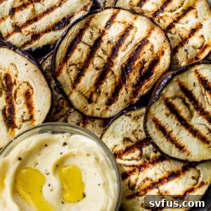 grilled eggplant rounds on a plate with garlic aioli on the side