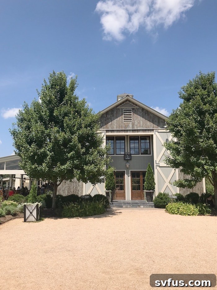 Pippin Hill Farm & Vineyards - Scenic View
