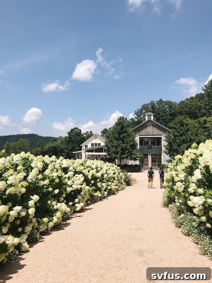 Pippin Hill Farm & Vineyards - Outdoor Seating