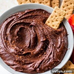 a bowl of chocolate hummus with a graham cracker being dipped in it