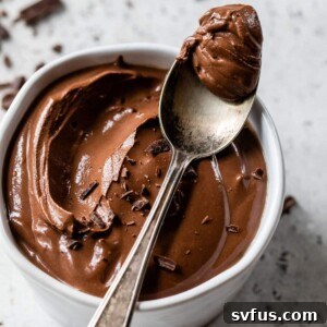 A spoonful of mousse sitting on top of a small bowl of chocolate mousse