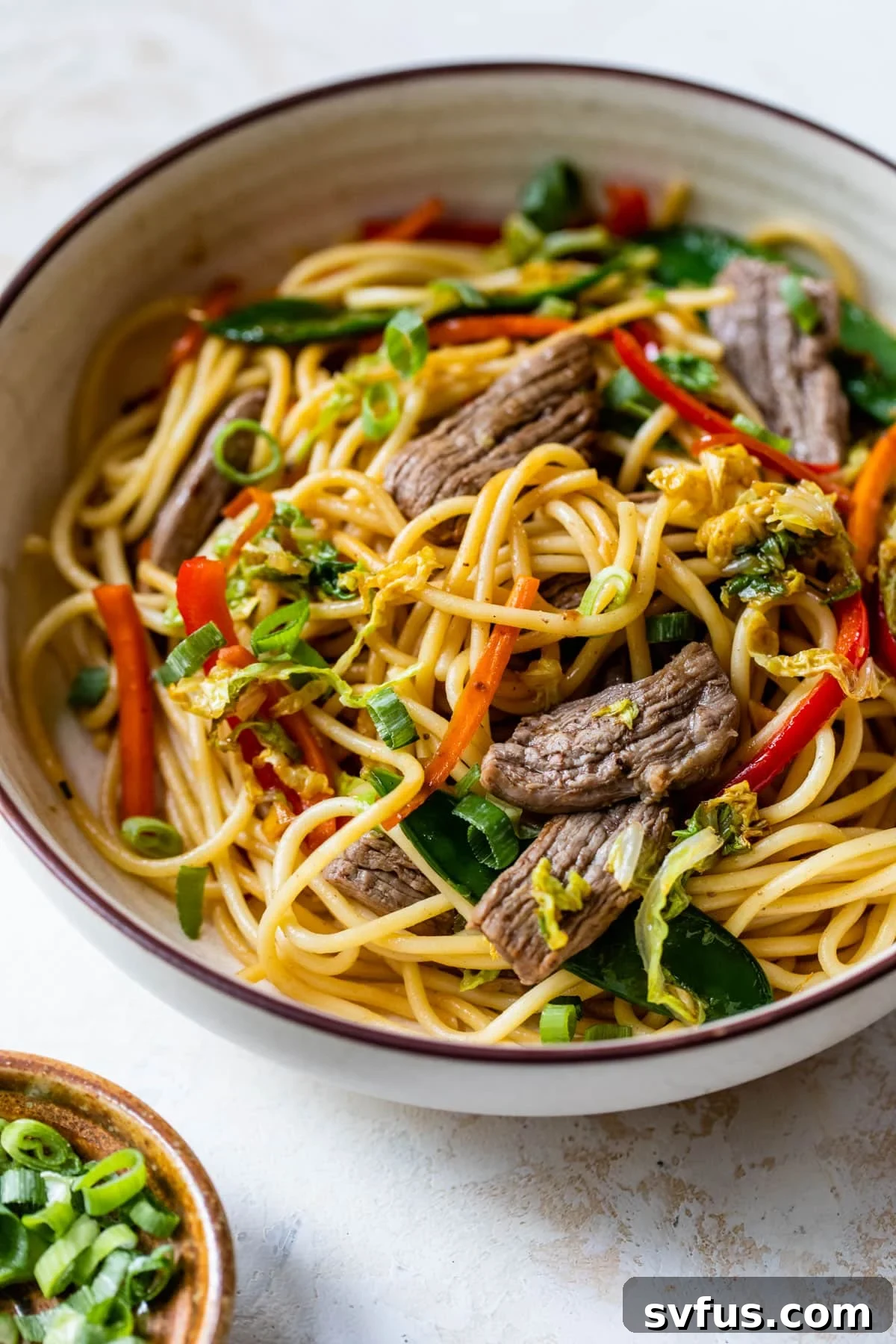 A vibrant bowl of Beef Lo Mein, featuring tender beef slices, glossy noodles, and an assortment of colorful vegetables like bell peppers, carrots, and snow peas, garnished with fresh green onions.