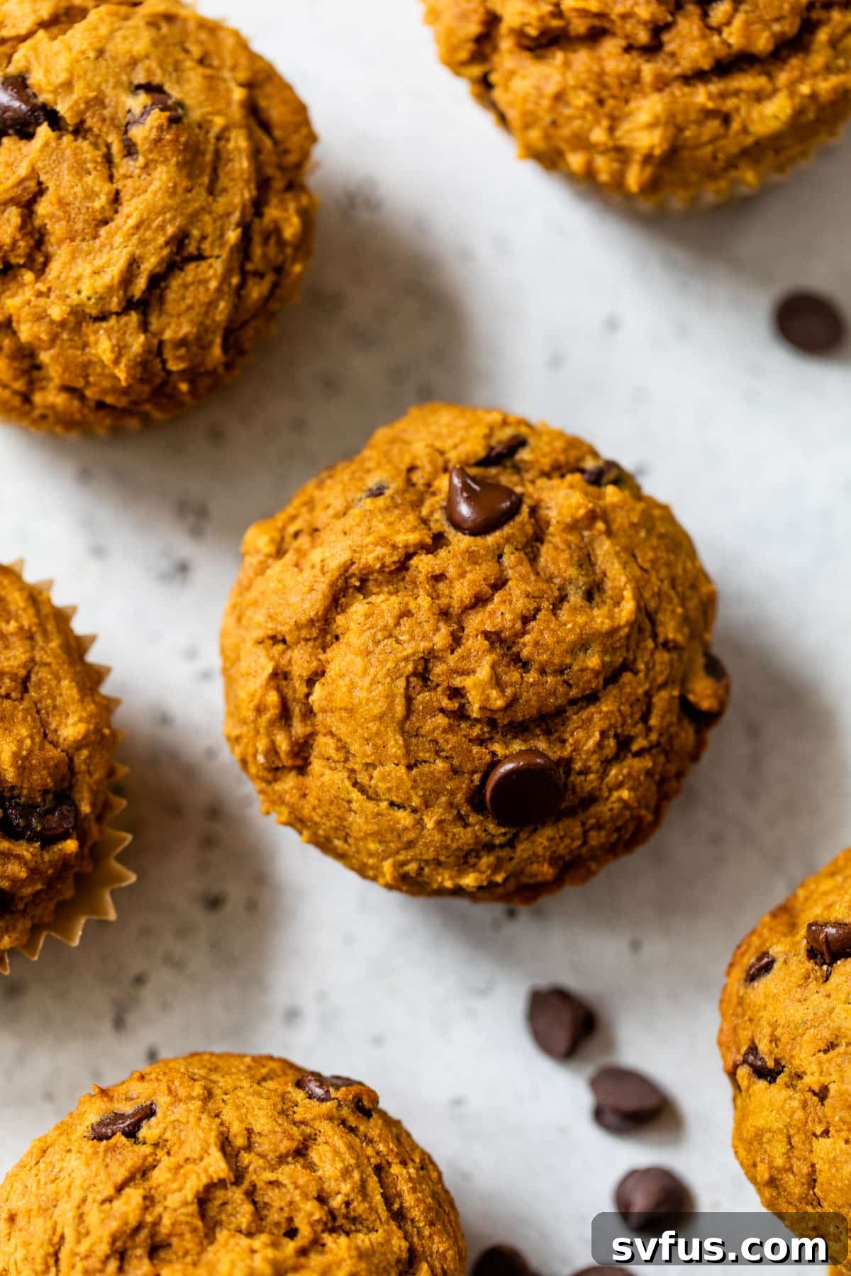 An overview of a few perfectly baked pumpkin chocolate chip muffins with melted chocolate.