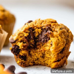 a side-view of a pumpkin chocolate chip muffin with a bite taken out