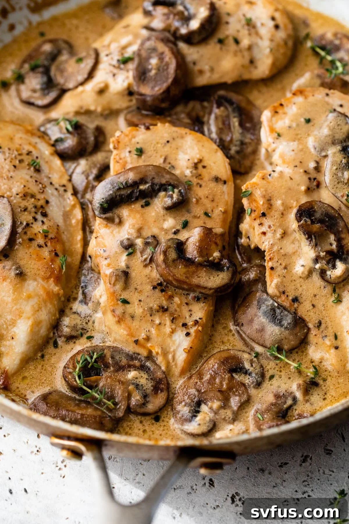 close up photo of cooked chicken breast in a skillet with a creamy mushroom sauce