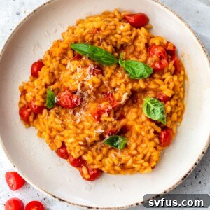 A bowl of risotto with tomatoes and fresh basil