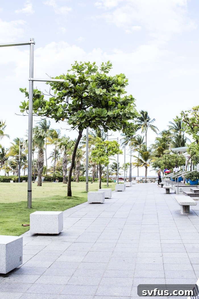 Best places to eat in Old San Juan and Condado