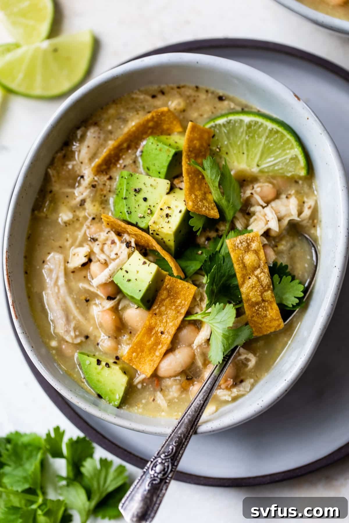 A vibrant bowl of Green Chicken Enchilada Soup, garnished with fresh avocado, crispy tortilla strips, and cilantro, promising a delightful culinary experience.