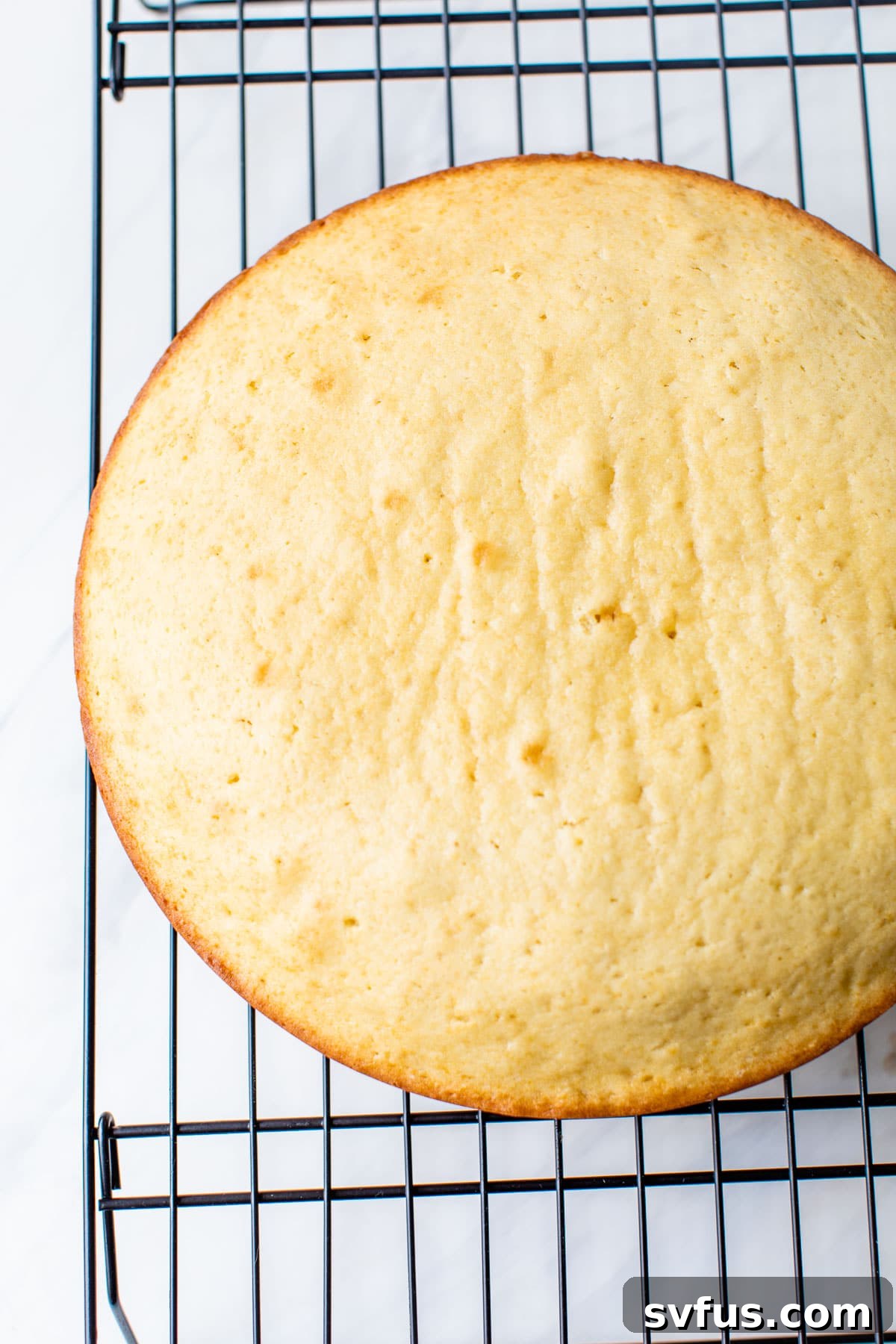 A perfectly baked round yellow cake cooling on a wire rack.