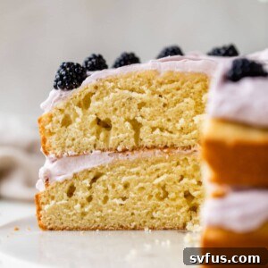 a two layer cake with a slice taken out of it