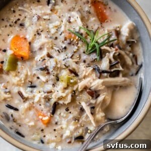 close-up of chicken wild rice soup in a bowl with a spoon