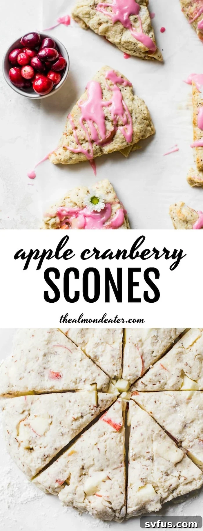 Beautifully glazed Apple Cranberry Scones - vegan-friendly scones filled with apples and topped with a sweet cranberry glaze. A perfect winter treat from thealmondeater.com