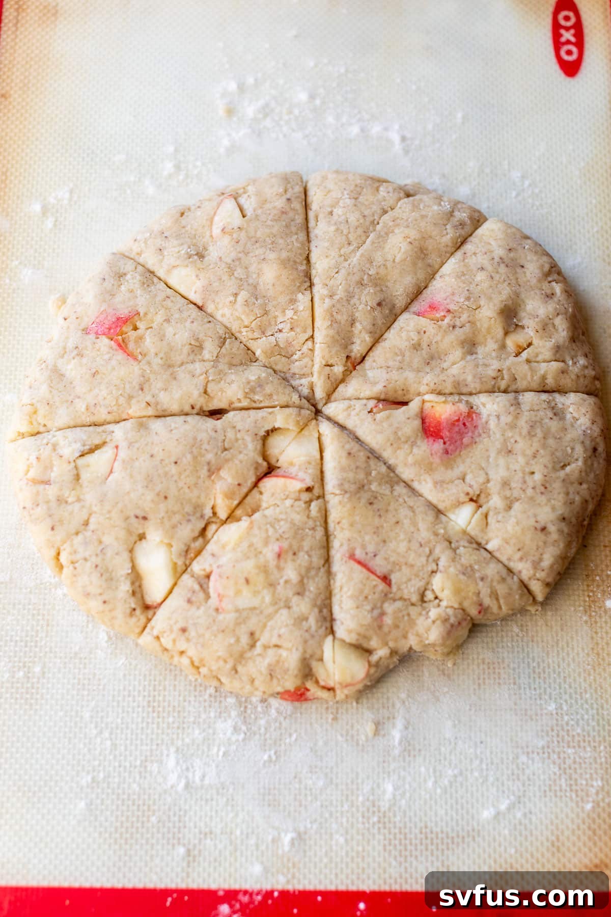 Overhead view of a round disc of apple cranberry scone dough expertly sliced into 8 wedges.