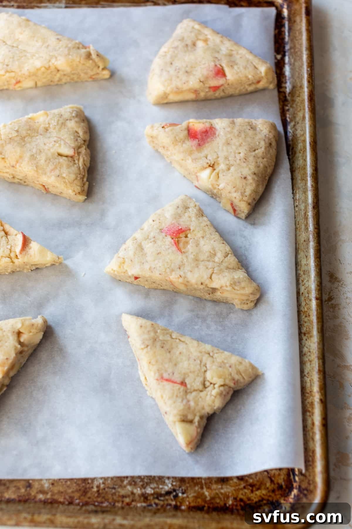 Side view of 8 unbaked apple cranberry scones arranged neatly on a parchment-lined baking sheet, ready for the oven.
