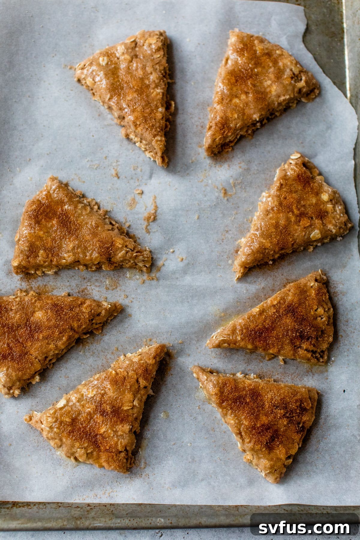 Raw oatmeal scones on a baking sheet, brushed with melted butter and generously sprinkled with sparkling cinnamon sugar before baking.