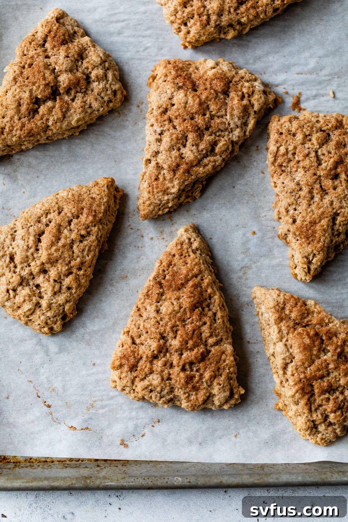 A tray of beautifully baked golden oatmeal scones, fresh from the oven, resting on a baking sheet.
